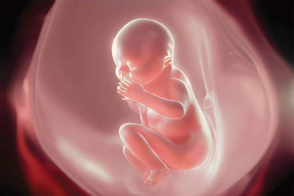 Fetal Reduction Procedure In Pune